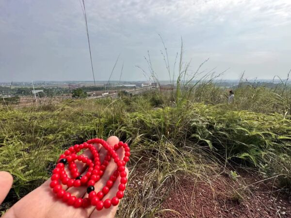 Red bracelet